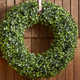 16.5'' Faux Boxwood Wreath