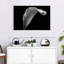 Lys Calla monochrome-810851423