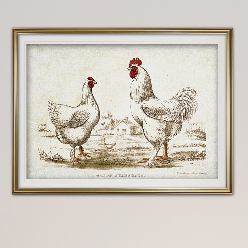 « poulet sketch ii », impression, Cadre doré, H 27 po x l 39 po x P 2 po, Pas de tapis