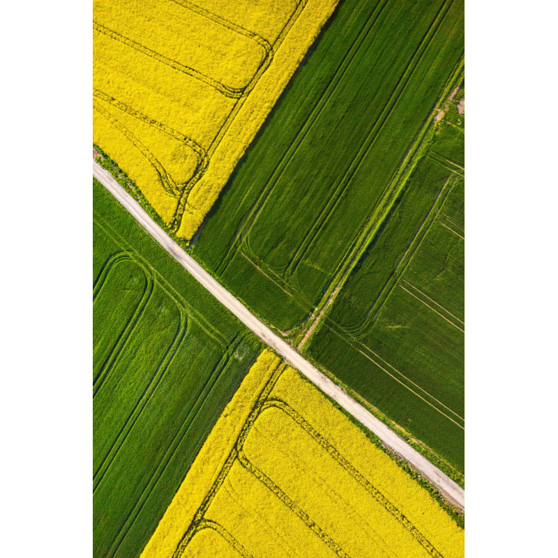 Wrapped Canvas Print, 152 cm H x 101 cm W x 3.81 cm D