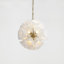 Capri 22 Light Chandelier