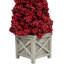 Topiaire de Noël rouge en pot-72613896