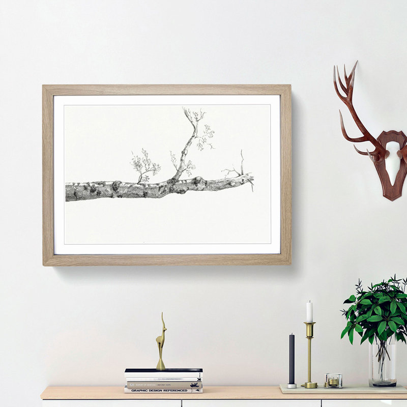 Study of a Tree by Jean Bernard - Picture Frame Drawing Print, Oak Framed, 48cm H x 65cm W x 2cm D
