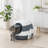 Cat Litter Box with Lid