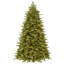 10 Ft. Powerconnect(Tm) Princeton Fraser Tree With Dual Color® Led Lights-212669968