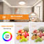 Cuayo LED Flush Mount