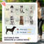 Poussette pliable standard pour animaux de compagnie avec rangement Smooth Ride and Absorption des chocs-91023646