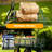 880 lbs Steel Garden Cart