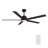 60'' Ceiling Fan with LED Lights-102062361