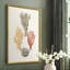 Knorr Shells & Coral IV, reproduction encadrée - bois massif-50871535