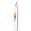 Carley Typography Wall Decor