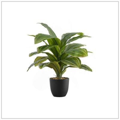 Plante artificielle, 17 po de hauteur, Dracaena, intérieur, faux, faux, table, verdure, pot, touche réelle, décoratif, feuilles vertes, pot noir