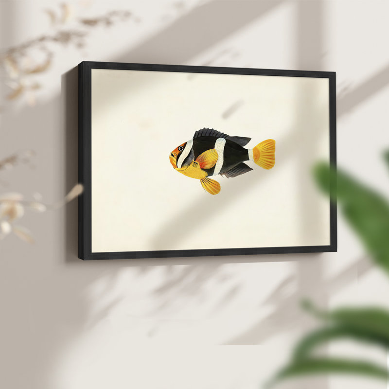 Tropical Fish Collection II -Framed Print - Restickable, H 11 po x l 14 po, Noir, noir, noir, noir