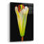 «Lily Bud» par Pamela Plummer, art mural en verre acrylique, 16 po x 24 po-464528789