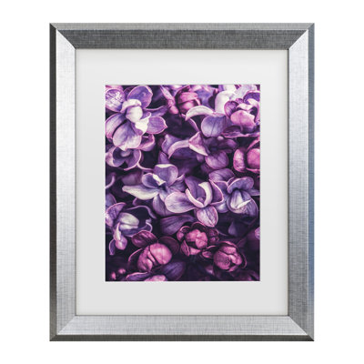 Bolog Incado Shades Of Purple Matted Framed Art
