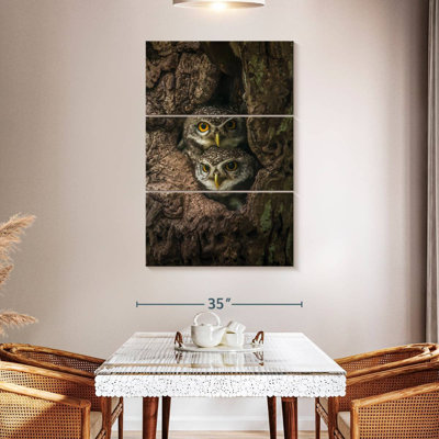 Owl Twins
