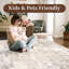 Ahmaad Abstract Area Rug-171632228