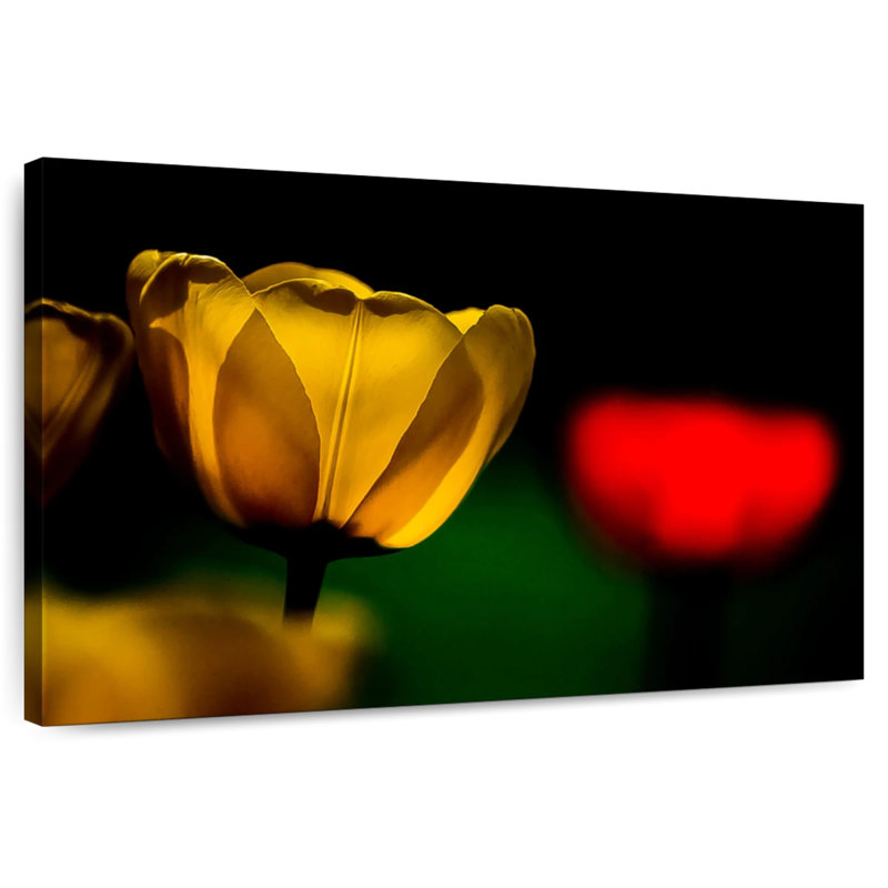 Harnek tulipes jaunes en fleurs, H 26 po x l 39 po