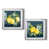 Silver Framed Paper selected