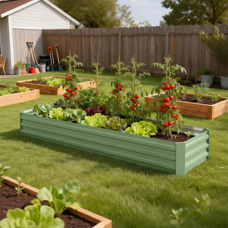Grande jardinière surélevée galvanisée 8x2x1ft, Vert