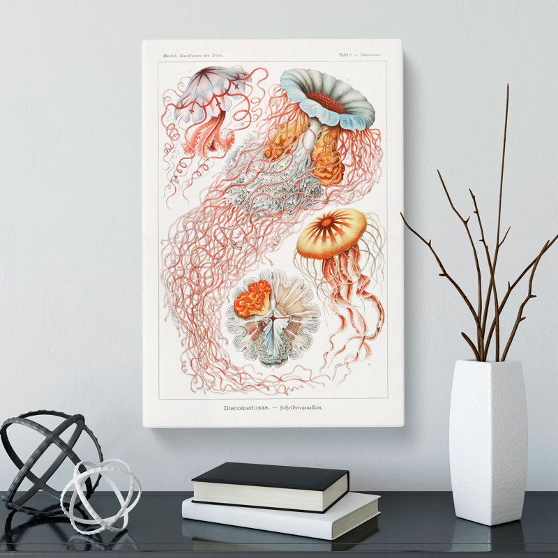 Discomedusae Jellyfish Vol.1 by Ernst Haeckel - Wrapped Canvas Painting, 76cm H x 50cm W x 3cm D