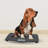 Redmon Digital Physician Scale