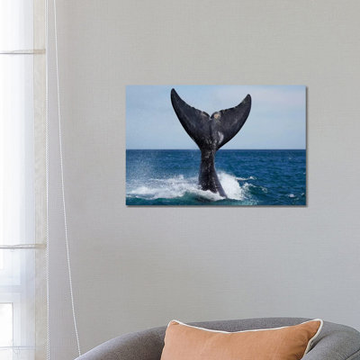 Southern Right Whale Tail Slapping, Peninsula Valdez, Argentina I by Hiroya Minakuchi - Wrapped Canvas Print