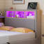 Upholstered Daybed