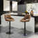 Newville Swivel Upholstered Adjustable Height Counter Stool with Metal Frame