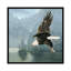 « flying eagle », impression sur toile-29479762-73579754-73579755