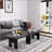 Modern Black Wooden Nesting Coffee Table Set