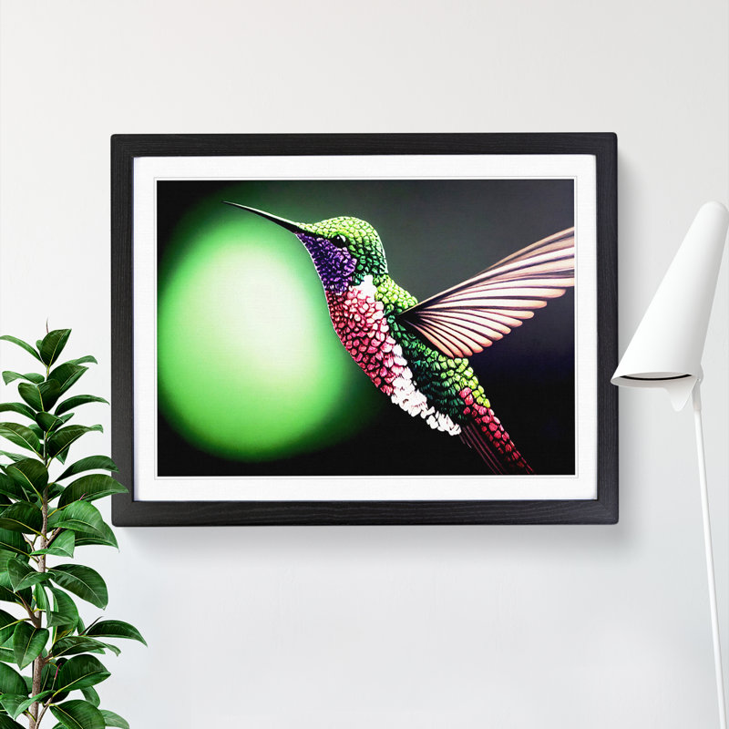 Bold Hummingbird - Single Picture Frame Print, Black Framed, 46cm H x 64cm W x 2cm D
