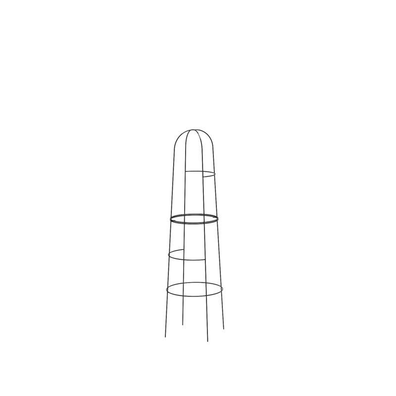 Anyree Metal Plant Support, 195cm H x 48cm W x 48cm D, 1