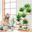 Support pour plante 7 niveaux-1980901367