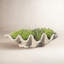 Handmade Planter-13913325