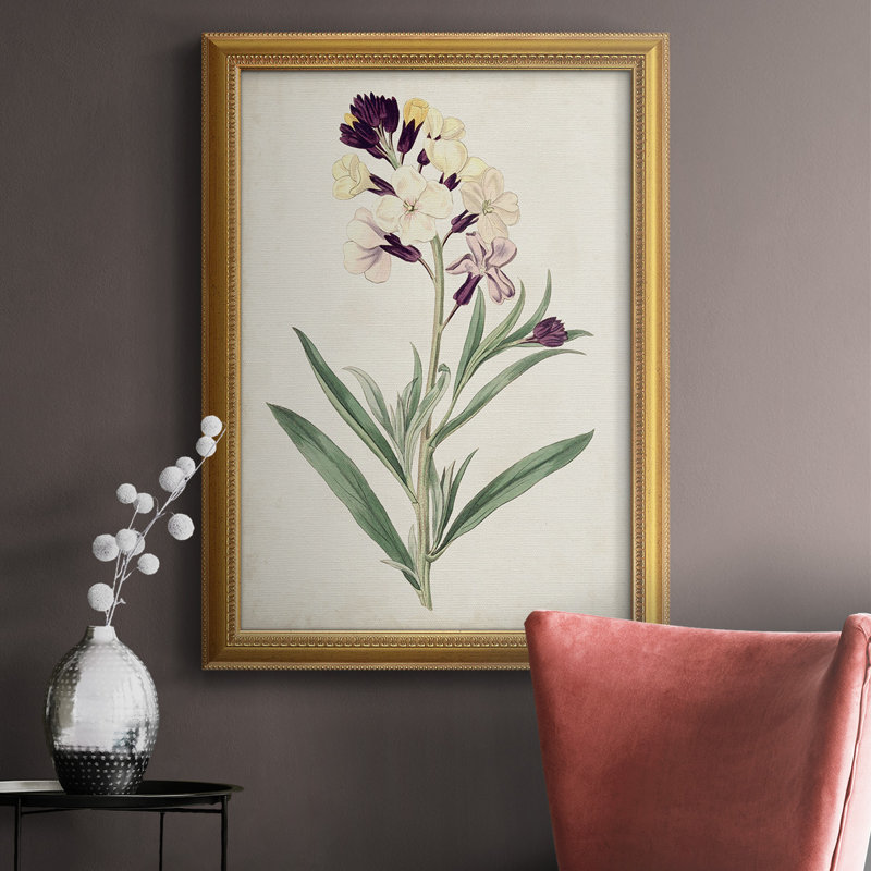 Toile encadrée de qualité supérieure Antique Botanical Collection VII - prête à être accrochée, H 20 po x l 16 po x P 2,5 po
