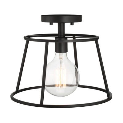 1 LT Ceiling Light in Matte Black
