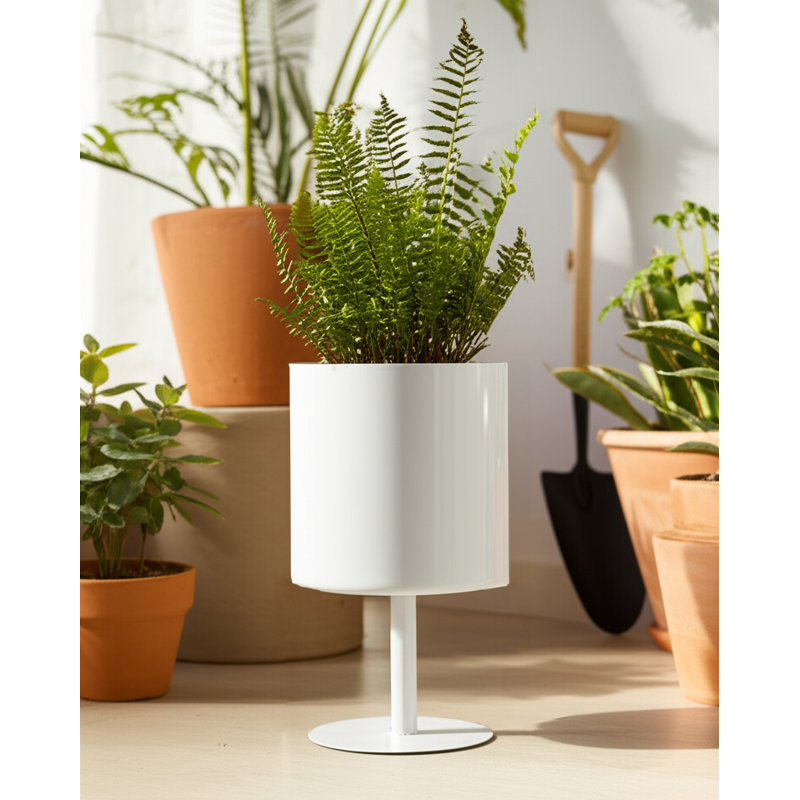 Wanderer Metal Planter on Base - Contemporary Round Iron Planter on Flat Round Base in Classic White - Indoor or Outdoor Decor