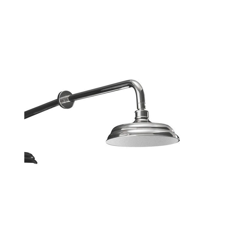 Swan Full/Standard Fixed Shower Head, Chrome