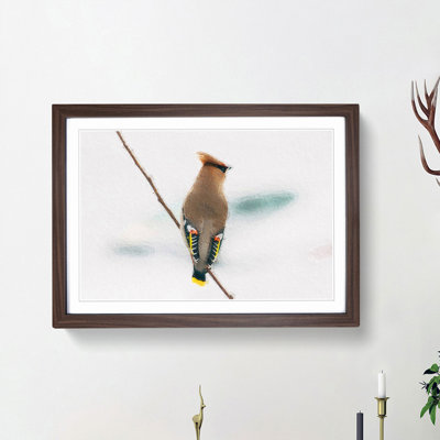 Bohemian Waxwing Bird - Picture Frame Painting Print