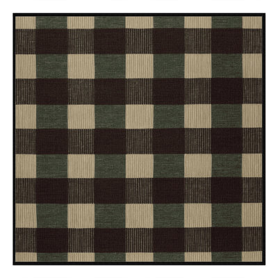 Machine Washable Checkered Brown Area Rug