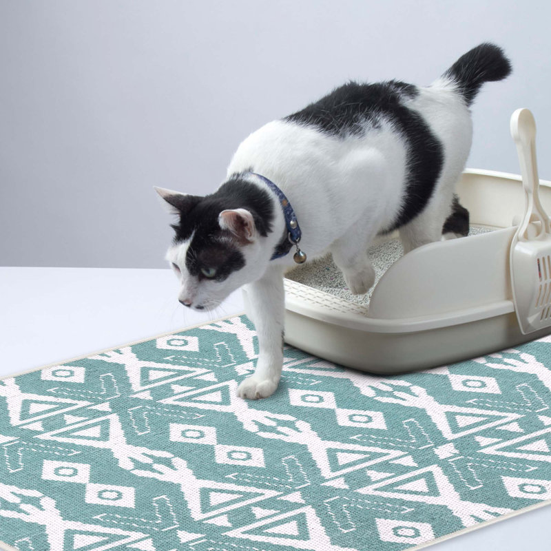 Tapis de litière, Sarcelle clair
