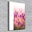Lavender Field - Wrapped Canvas Print