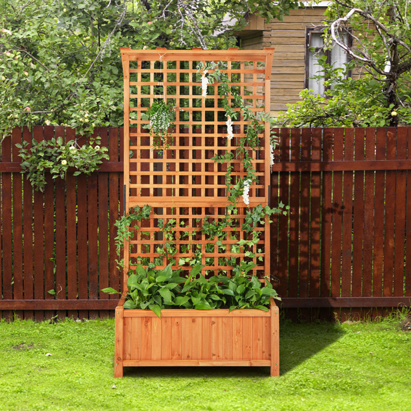 Pachl Vertical Garden with Trellis