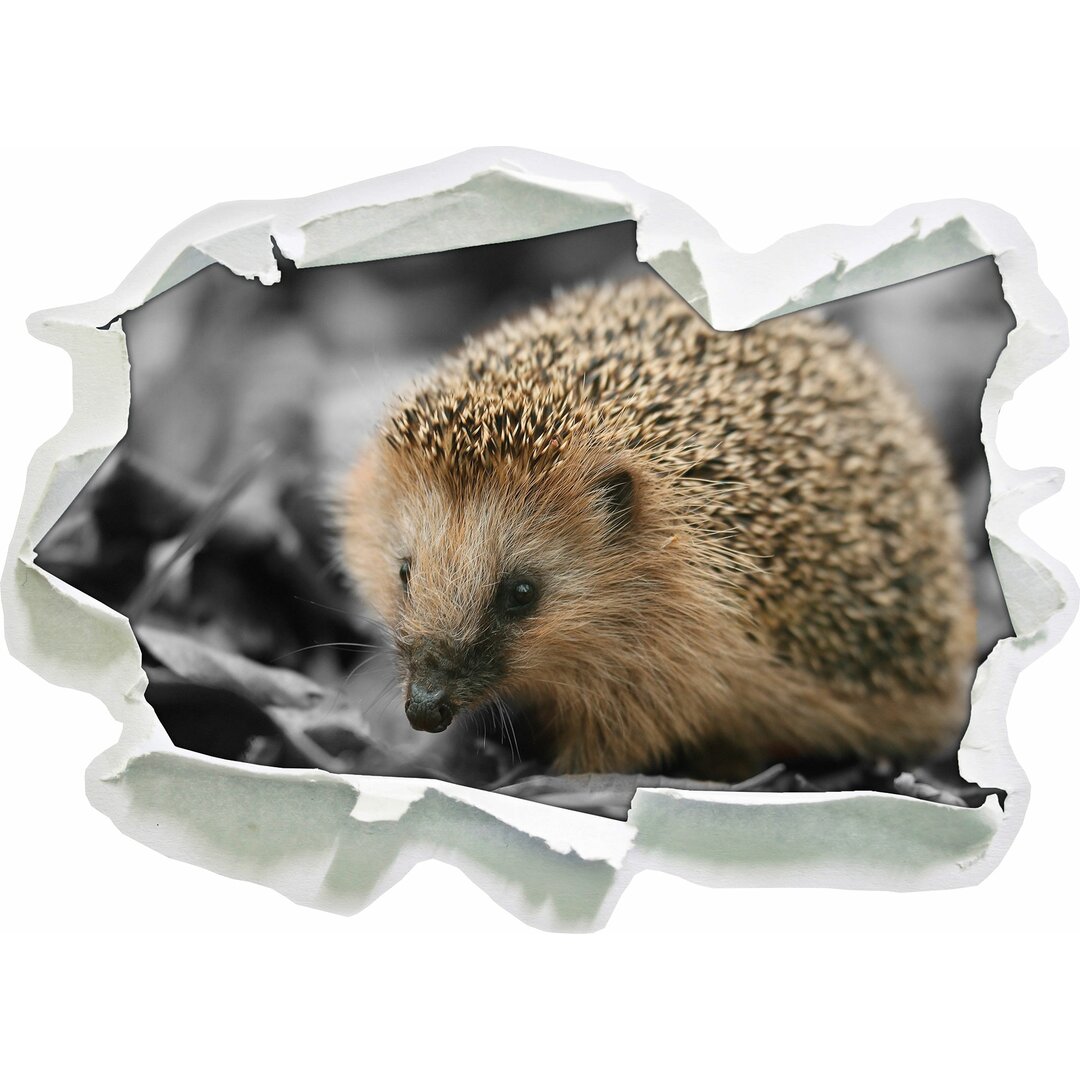 Niedlicher Igel in Blättern Wandsticker