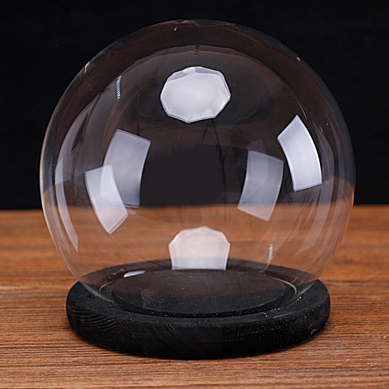 Terrarium Cloche with Wood Base