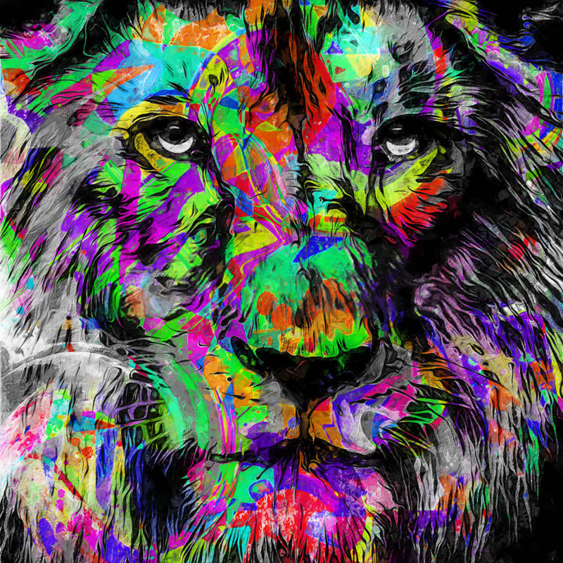 Lion Colourful - No Frame Print, Gallery Metal, 50.7cm H x 40cm W