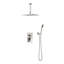 Système de pomme de douche 12 po-123949150
