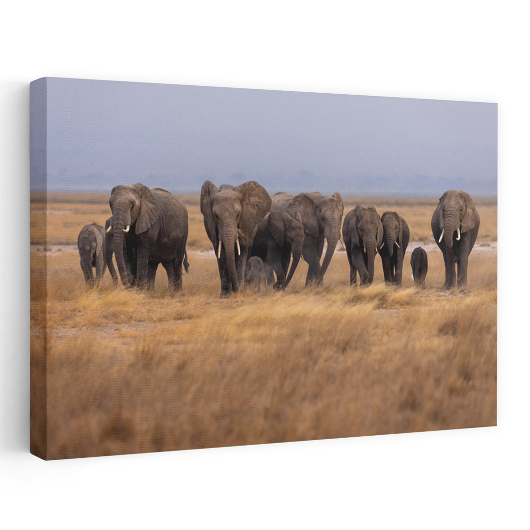 Majestic Elephant Family Contemporary Elephant Nature Wildlife Wall Art Print