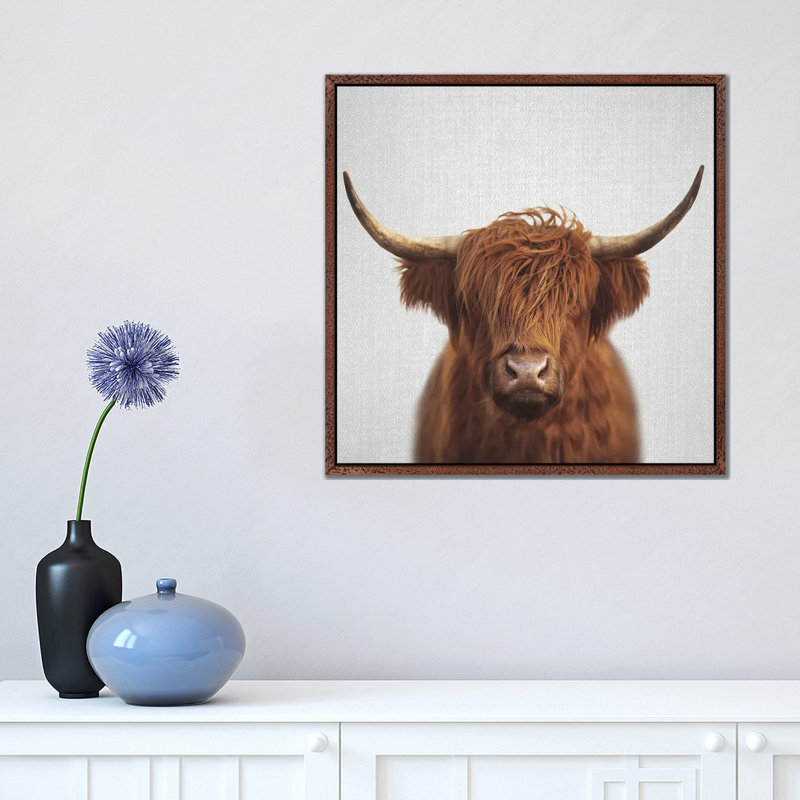 Highland Cow by Gal Design - Print on Canvas, 45.72cm H x 45.72cm W x 3.81cm D, Classic Brown Wood Framed